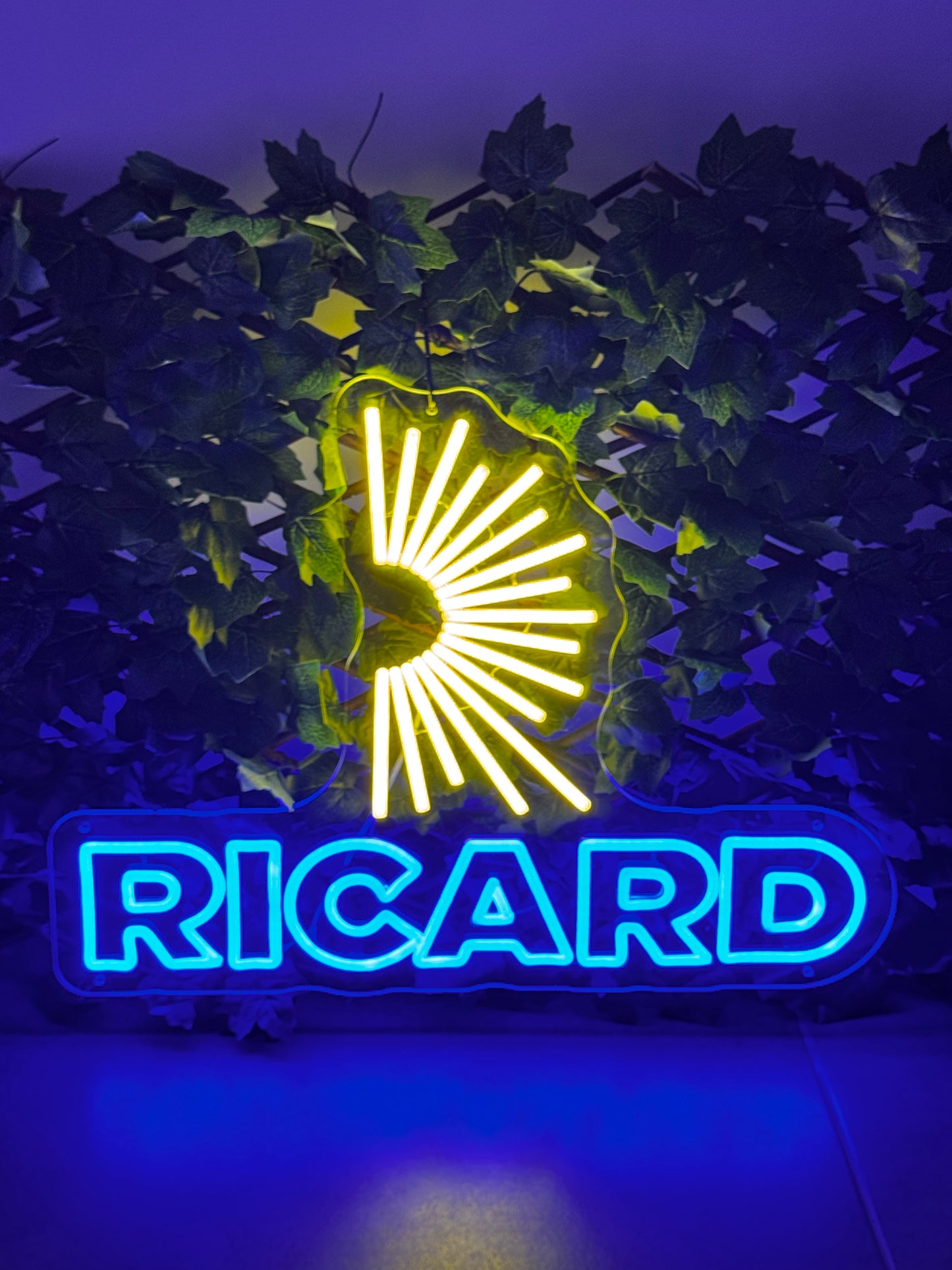 Néon RICARD Chill'Neon