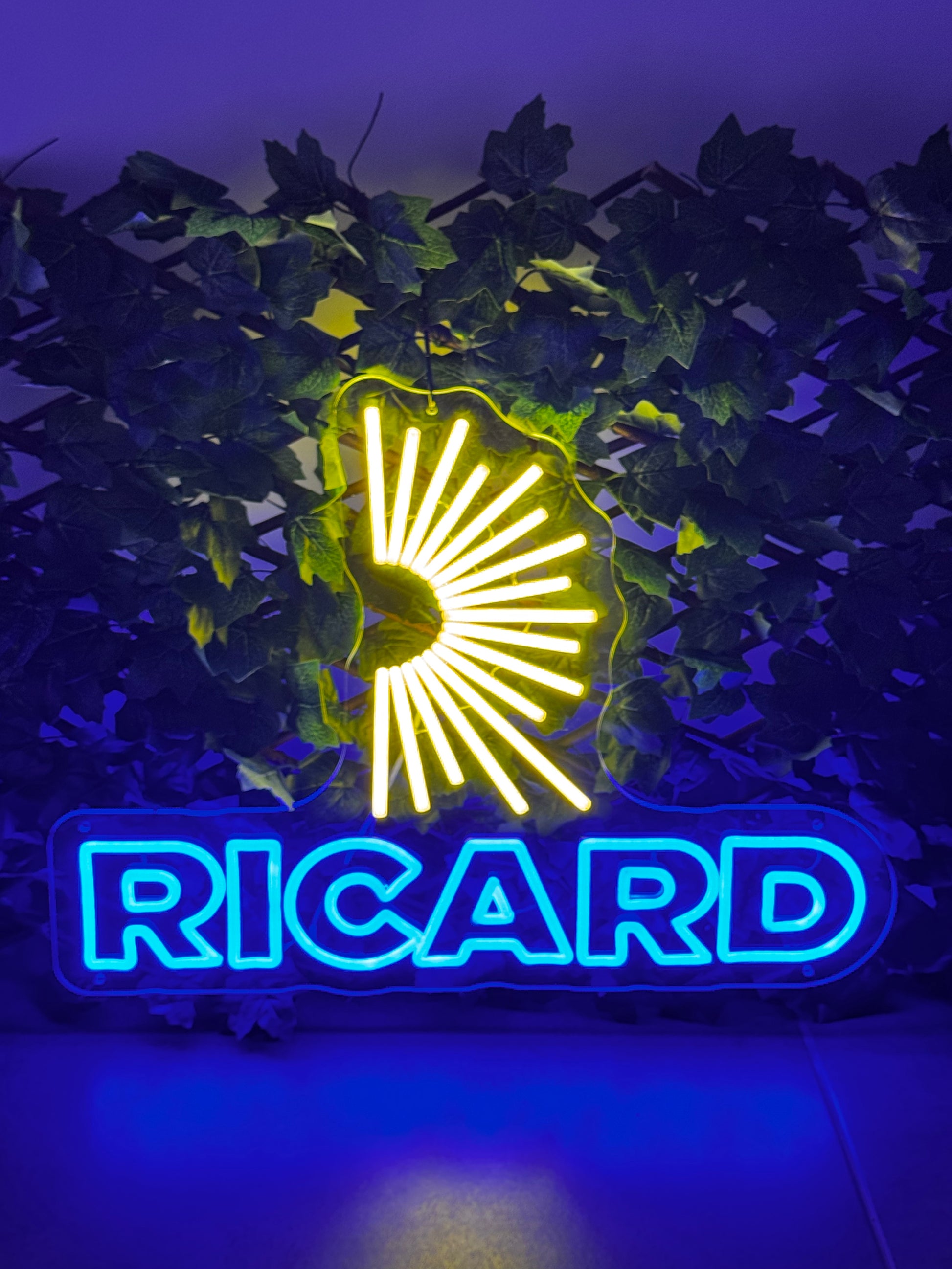 Néon RICARD Chill'Neon